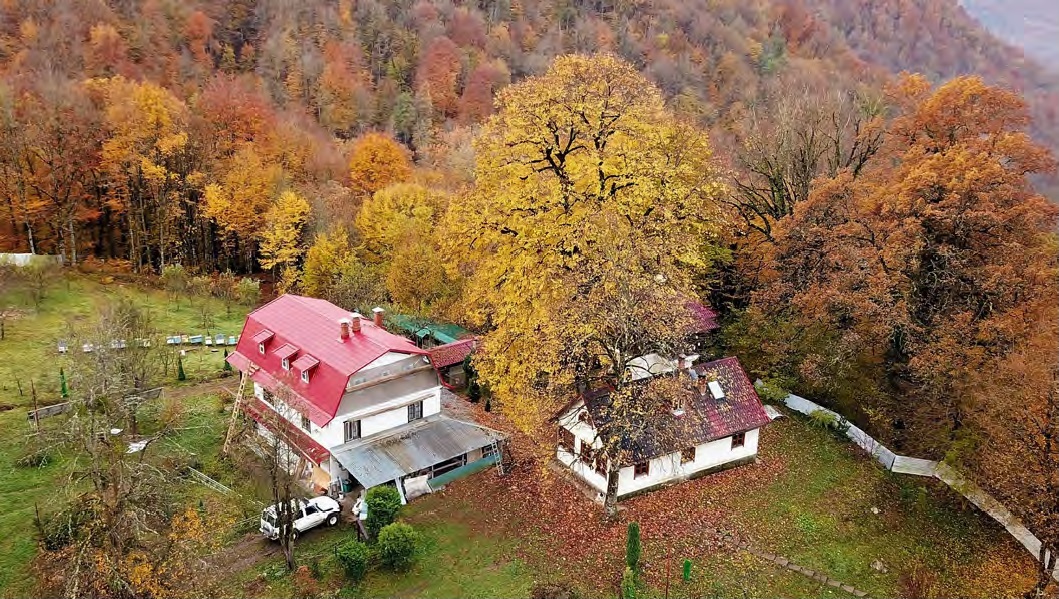 Скит в честь Владимирской иконы Божией Матери в горах.