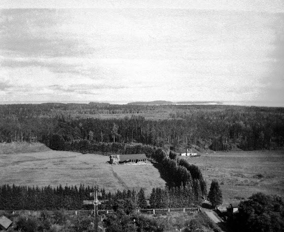 114.jpg