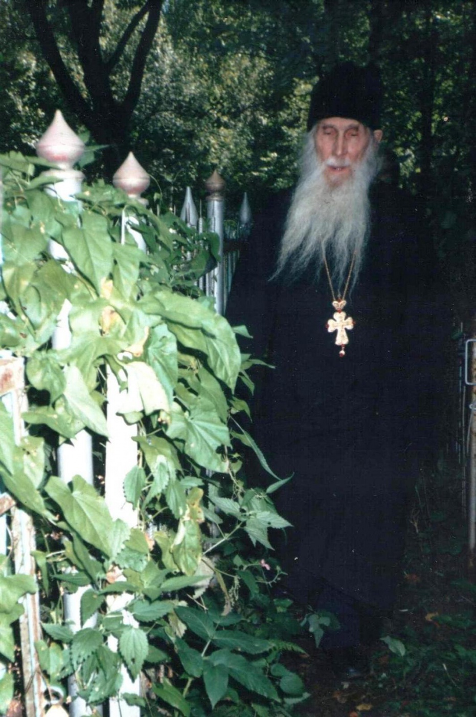 18037.jpg