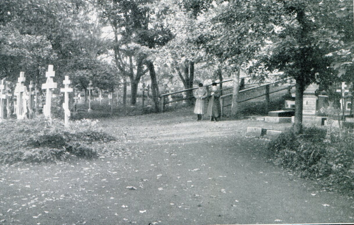 img004.jpg