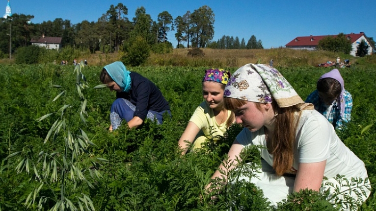Загадка: "Тут Сисяярви на габбро-диабазе, недалеко от Сортавалы"