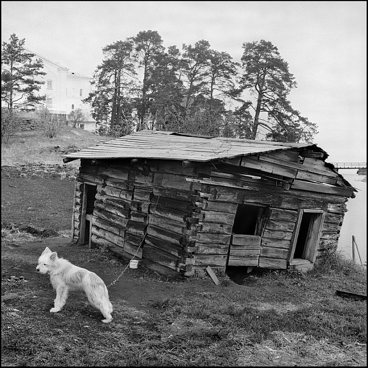 Никольский остров, 1991 год