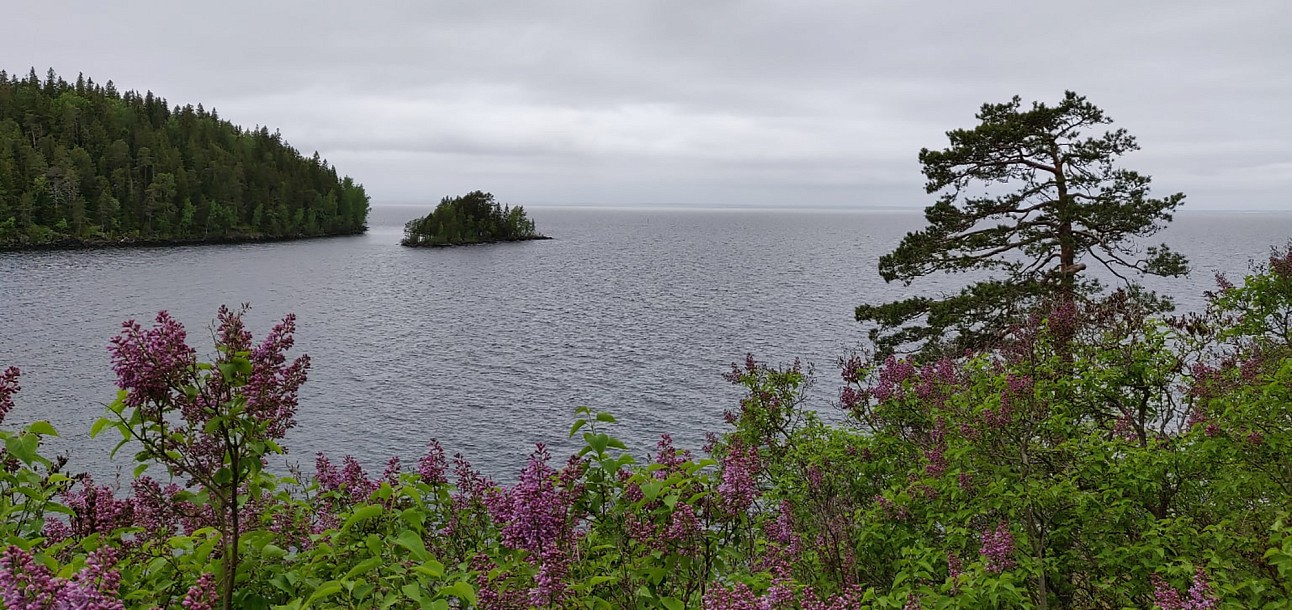 Вид на Ладогу с Никольского острова