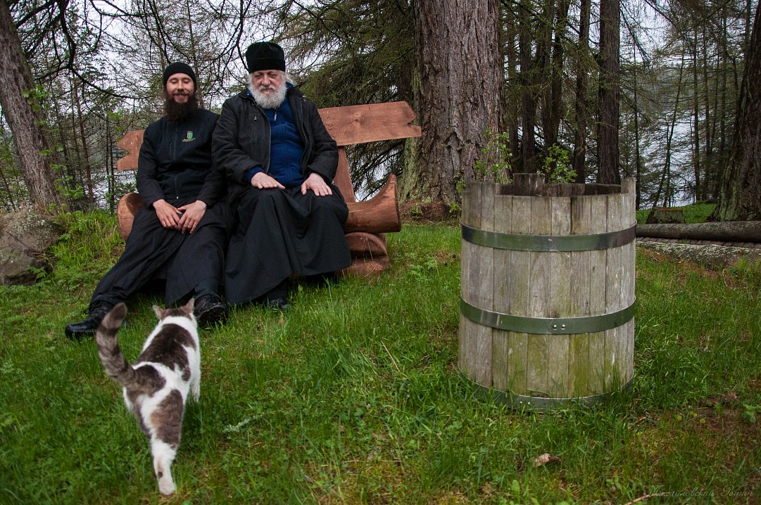 Фото Романа Михайловского. Июнь 2021 года