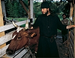 Послушник Герман (Иванов) с коровой Стрелкой. Фото Сергея Компанийченко, 2000 г.