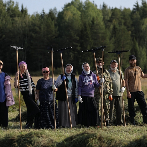 Волонтёрство